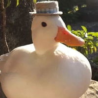 RichMitch
