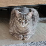 Duftmeister