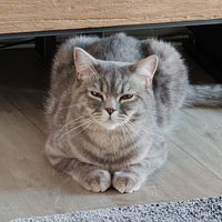 Duftmeister