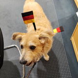 KaisersTinge