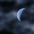 Moonshadow