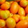 Kumquat