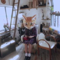 deardream