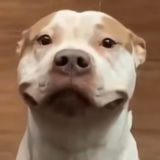 MrWorldwide