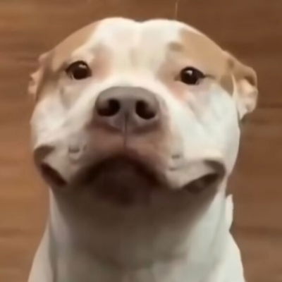 MrWorldwide