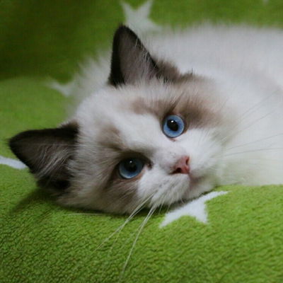 Xing