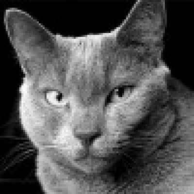 Whn
