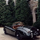 Tuxedo03