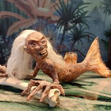 FijiMermaid