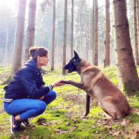 Wolfspfote