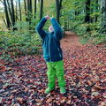 MossGreen