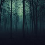 Rupture