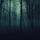 Rupture