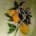 MissLemon22
