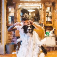 BorderCollie