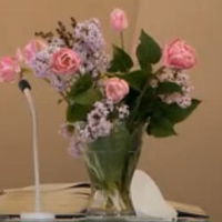 Flossi