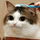 CatGuy