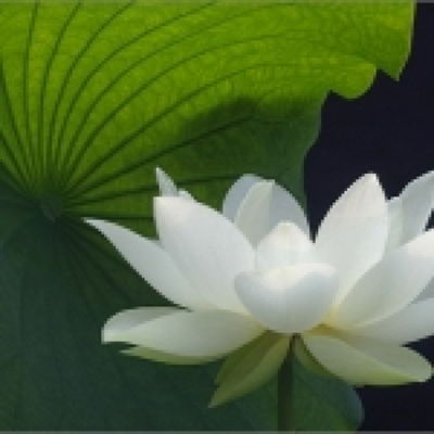 KarinaM