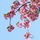 Tamarak92