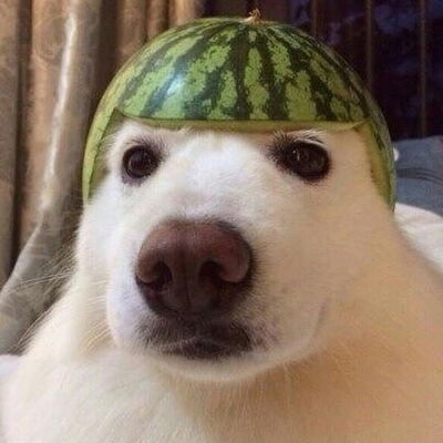 WaterMalone