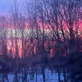 EndlessSky