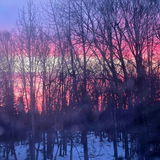 EndlessSky