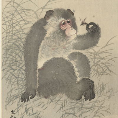 Pralinenmann