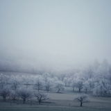 Frostlicht