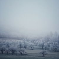 Frostlicht