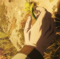 Yoaimo