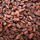 CacaoAbsolu