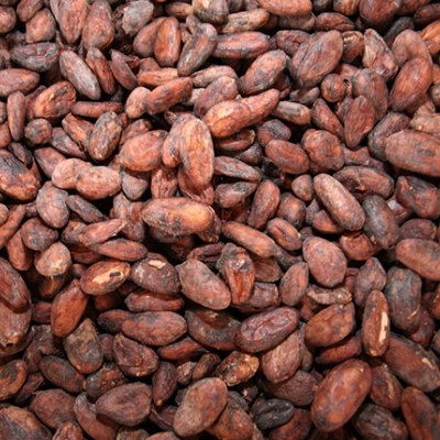 CacaoAbsolu