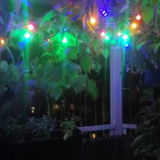 Merrylin