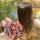 Scentsation
