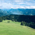 Pomelorouge