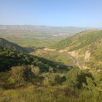 zaheersnt