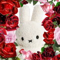 3eins2