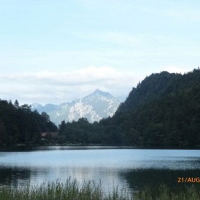 Lilalique