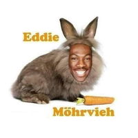 Möhrvieh