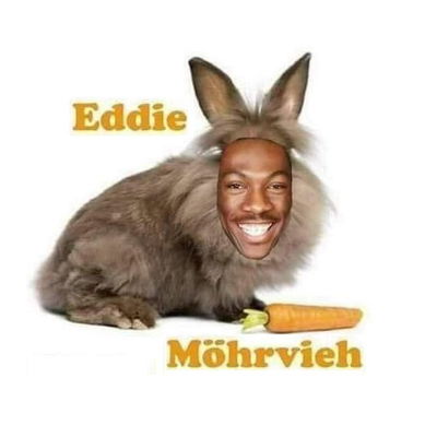 Möhrvieh