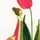 FrauTulpe