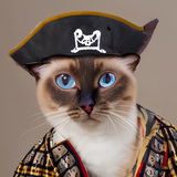 TommieBootje