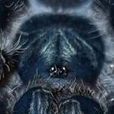 Phormictopus