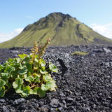 Katla