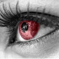 IseeRed