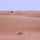 Desertrose