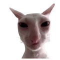 Deindufti