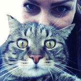 Tigaalily