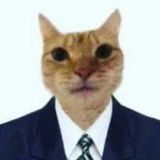 CorpoCatto