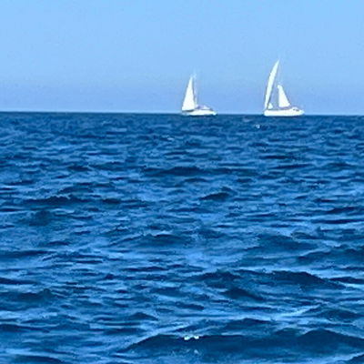 Daartom